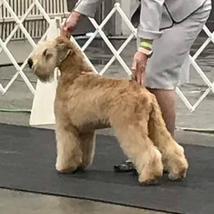 Meet your Posher, Lorene